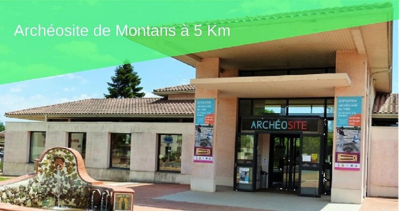 Le Grand Cottage Nature Piscine Chauffee Privee Du Tarn Entre Toulouse Et Albi & Les Cottages Du Tarn Peyrole Ngoại thất bức ảnh